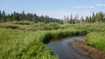 Lower Transect Channel (downstream)