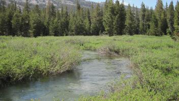 Lower Transect Channel (downstream)