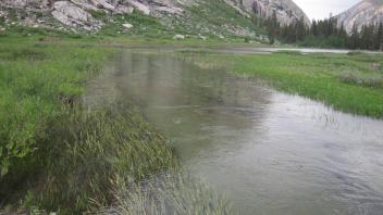Lower Transect Channel (downstream)