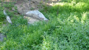 Lower Transect Channel (left to right) 2
