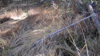 Lower Transect Channel (left to right)