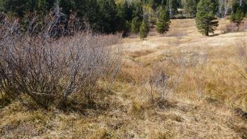 Lower Transect Channel (left to right)