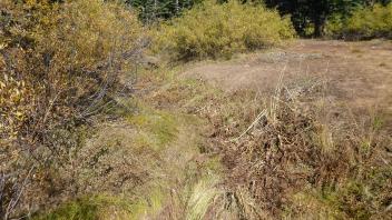 Lower Transect Channel (left to right)