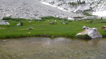 Lower Transect Channel (left to right)