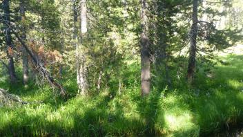 Lower Transect Channel (left to right)