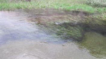 Lower Transect Channel (left to right)