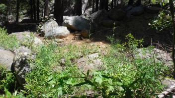 Lower Transect Channel (left to right)