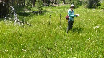 Lower Transect Channel (left to right)