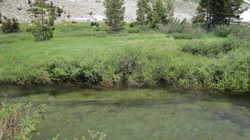 Lower Transect Channel (left to right)