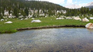 Lower Transect Channel (right to left)