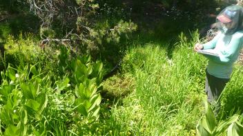 Lower Transect Channel (right to left)