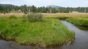 Lower Transect Channel (right to left)