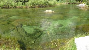 Lower Transect Channel (right to left)