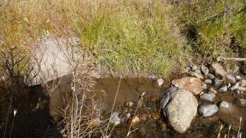 Lower Transect Channel (right to left)