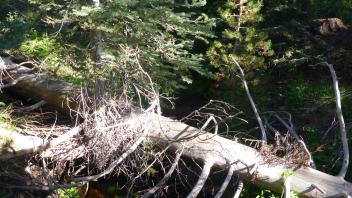 Lower Transect Channel (upstream)