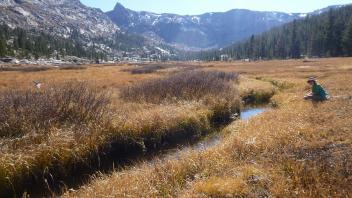 Lower Transect Channel (upstream)