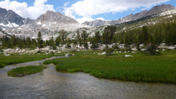 Lower Transect Channel (upstream)