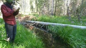Lower Transect Channel (upstream)