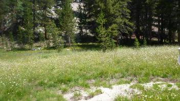 Lower Transect Channel (upstream)