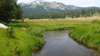 Lower Transect Channel (upstream)