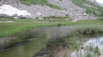 Lower Transect Channel (upstream)