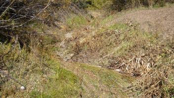 Lower Transect Channel 1 (upstream)