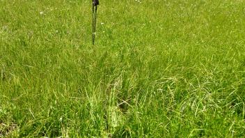 Lower Transect Channel 2 (right to left)