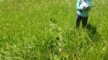 Lower Transect Channel 2 (right to left)