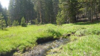 Lower Transect Channel 2 Downstream