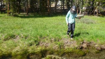 Lower Transect Channel 2 Left to Right