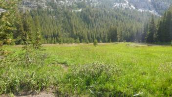 Lower Transect Channel 2 Right to Left