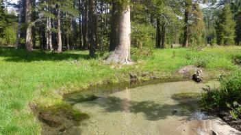 Lower Transect Channel 2 Upstream