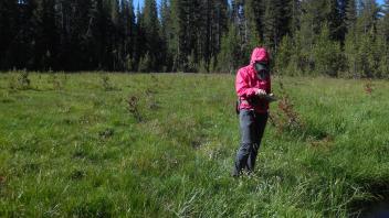 Lower Transect Channel Left to Right 2