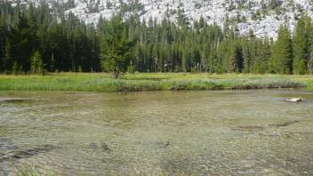 Lower Transect Channel Left to Right