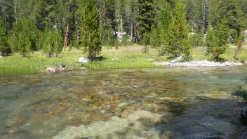 Lower Transect Channel Left to Right