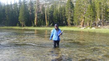 Lower Transect Channel Left to Right