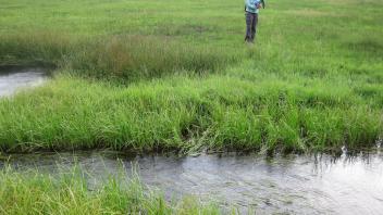 Lower Transect Channel Left to Right