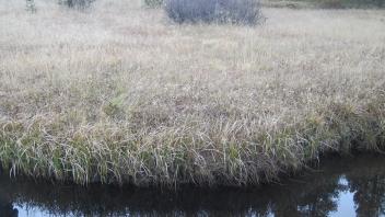 Lower Transect Channel Right to Left