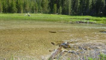 Lower Transect Channel Right to Left