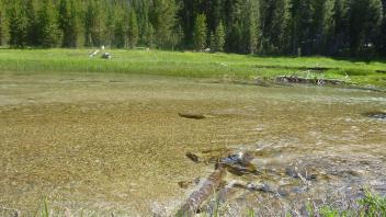 Lower Transect Channel Right to Left