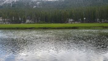 Lower Transect Channel Right to Left
