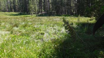 Lower Transect Channel Right to Left