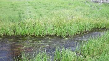 Lower Transect Channel Right to Left