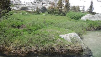 Lower Transect Channel Right to Left