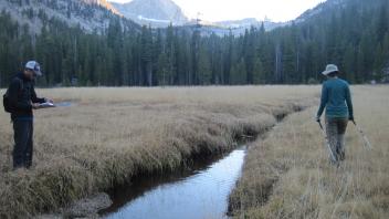 Lower Transect Downstream