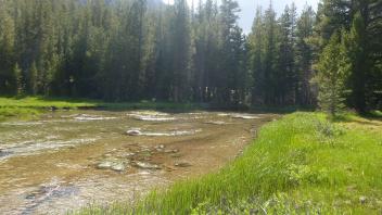 Lower Transect Downstream