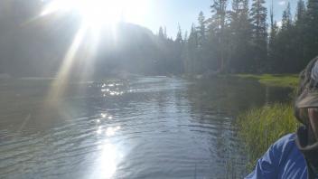 Lower Transect Downstream