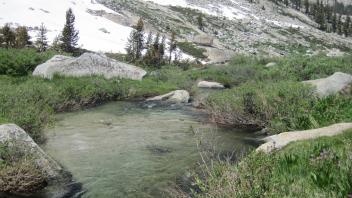 Lower Transect Downstream