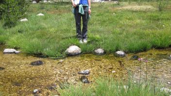 Lower Transect Left to Right Channel Across