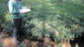 Lower Transect Left to Right Channel Across